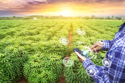 2Overview3-2 2Overview3-2